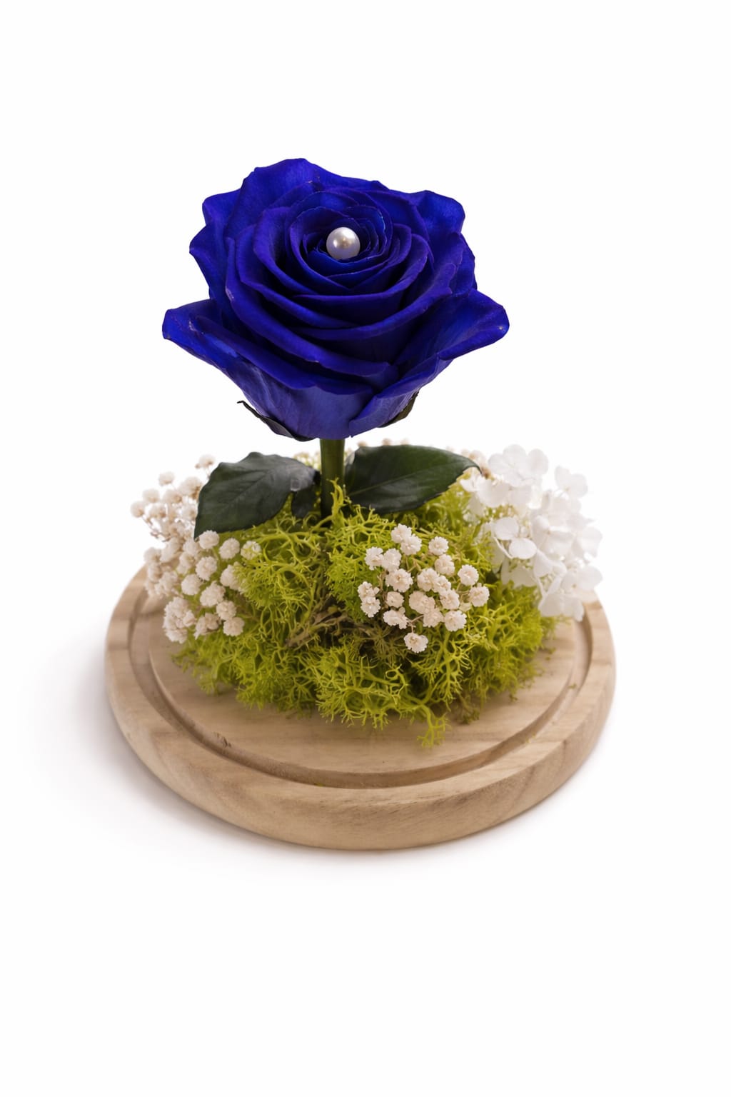 Rosa azul preservada en cúpula de cristal decorativa