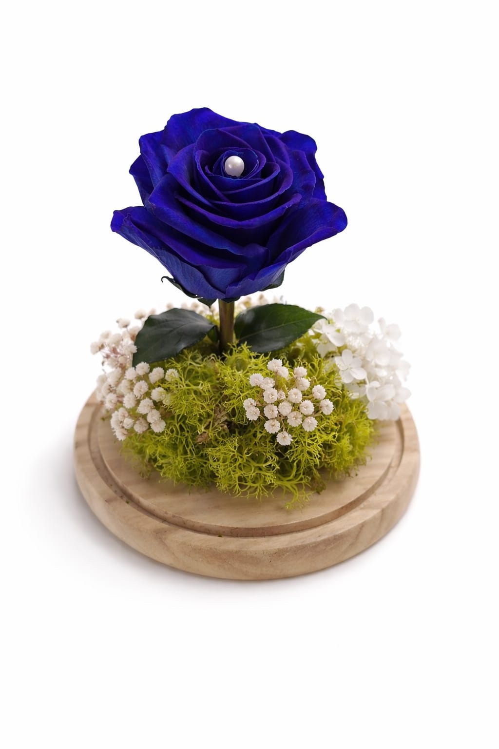 Rosa azul preservada en cúpula de cristal decorativa